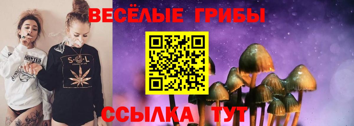 Сертолово  Галлюциногенные грибы Magic Shrooms  как найти закладки  Вход с VPN 